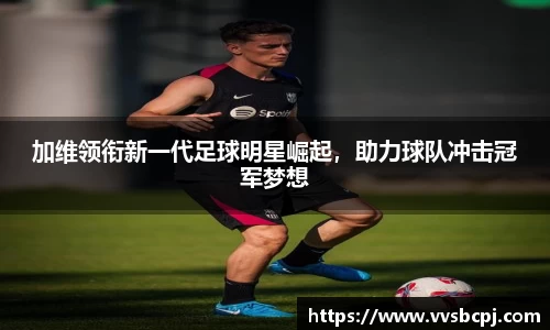 B体育bsports