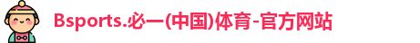 B体育官网